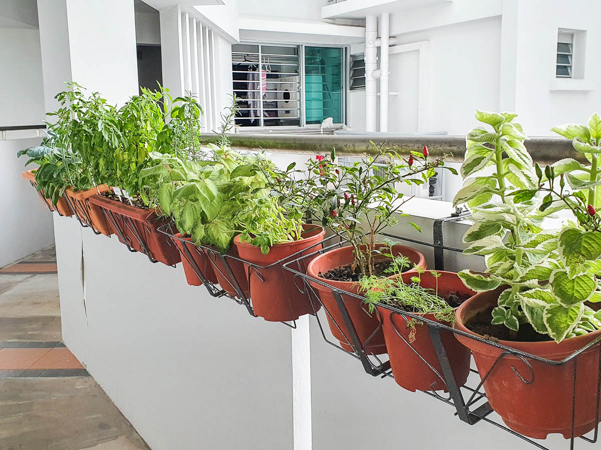 Good Corridor Gardening Practices